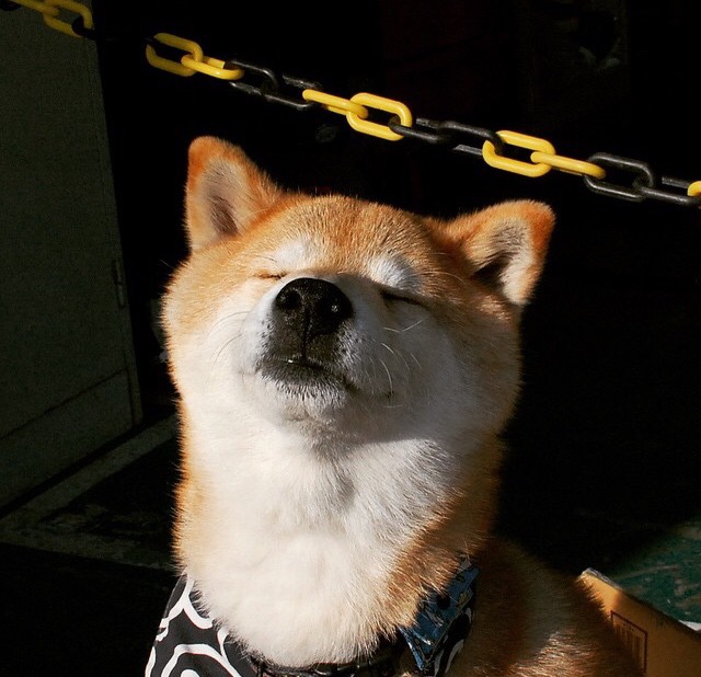 岩壁与海啸，当德里赫特的爆发，撞上佛罗伦萨冲垮比利时的洪流