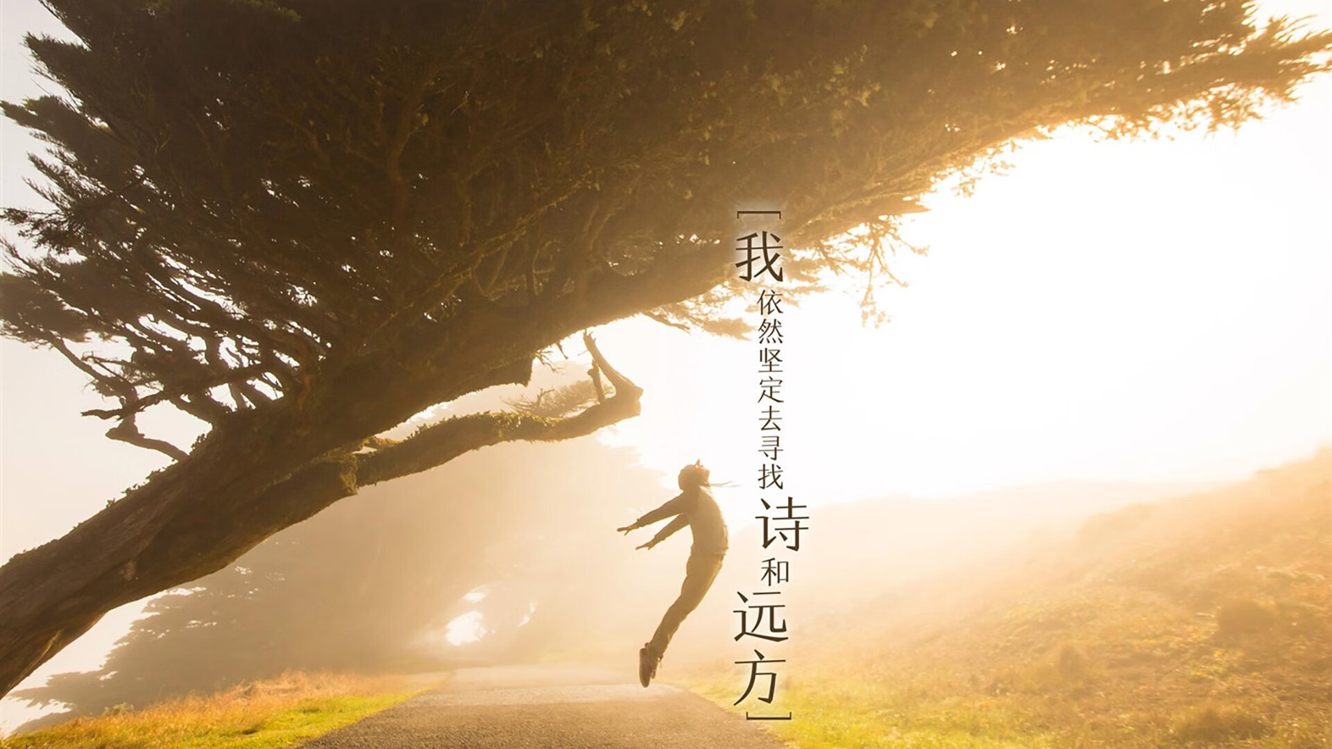 沙漠风暴中的孤星，2026世界杯D组阿联酋险胜哥斯达黎加，穆西亚拉一人改写命运